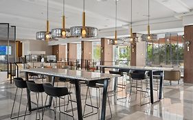 King Solomon By Isrotel Collection